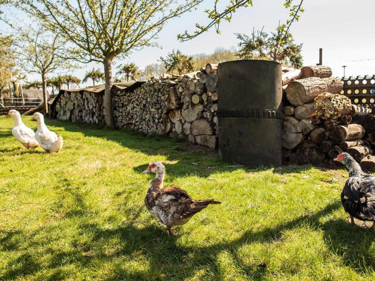 Hof Lewin Villa Dargen Dış mekan fotoğraf